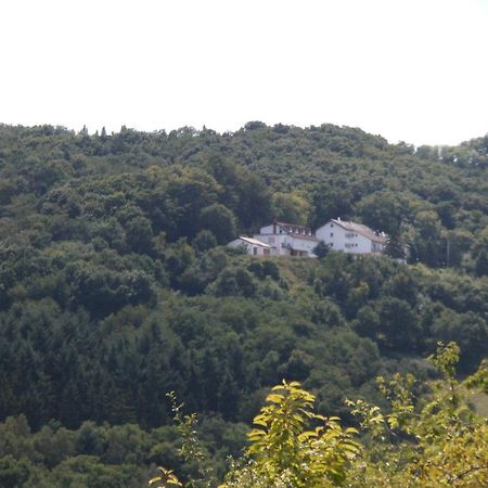 Burg-Hotel Обермошель Екстер'єр фото