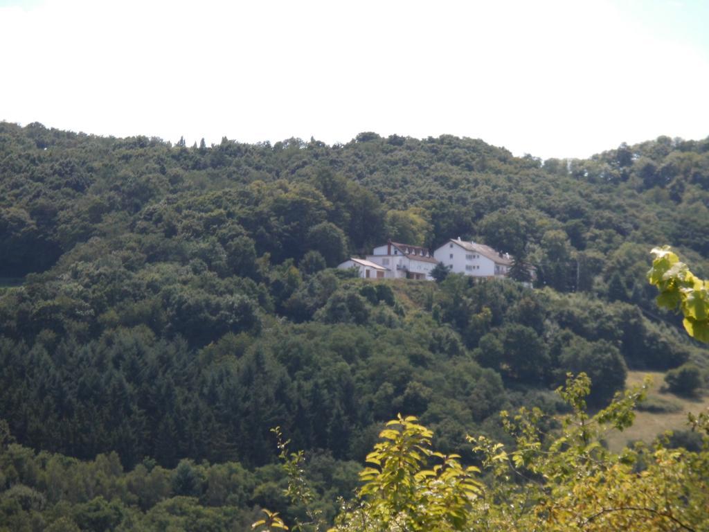 Burg-Hotel Обермошель Екстер'єр фото